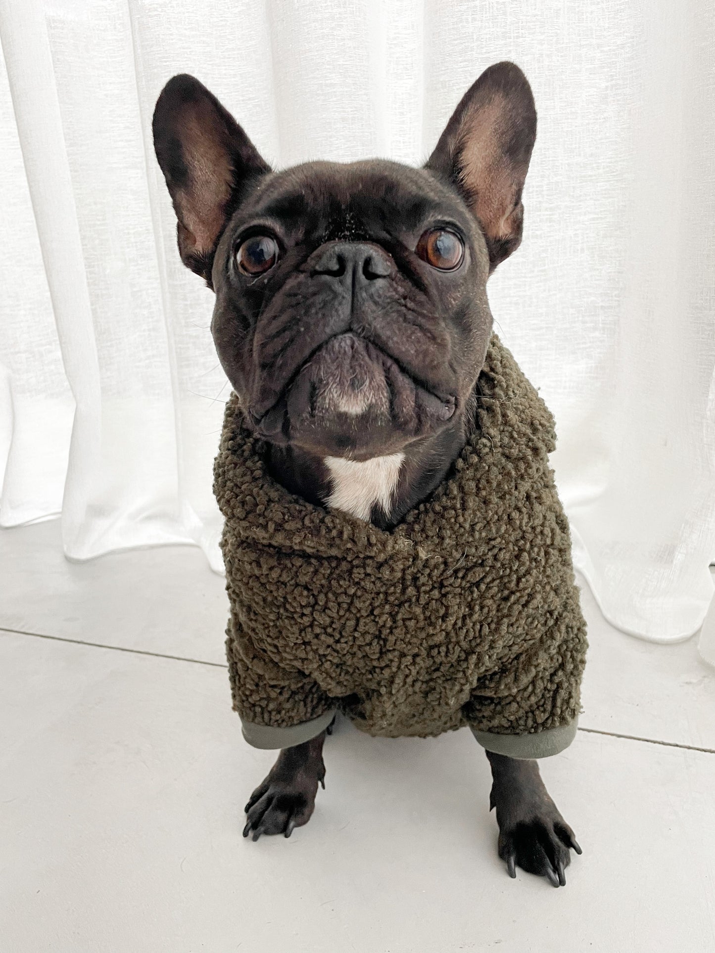 Dog sweater - khaki teddy