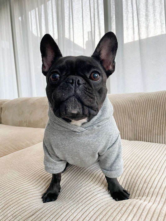 Dog sweater - grey