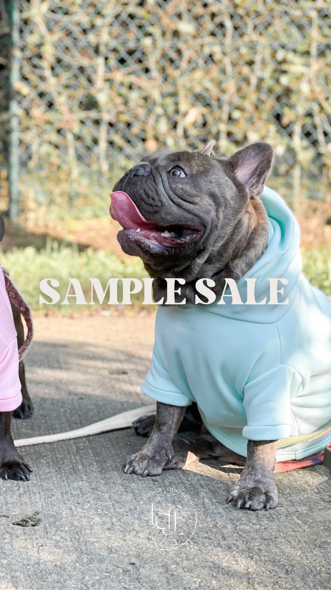 Sample sale - mint dog sweater M