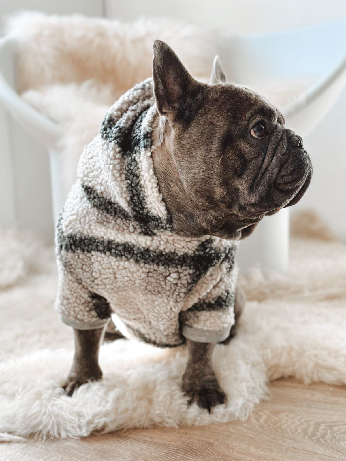 Dog sweater - grey teddy