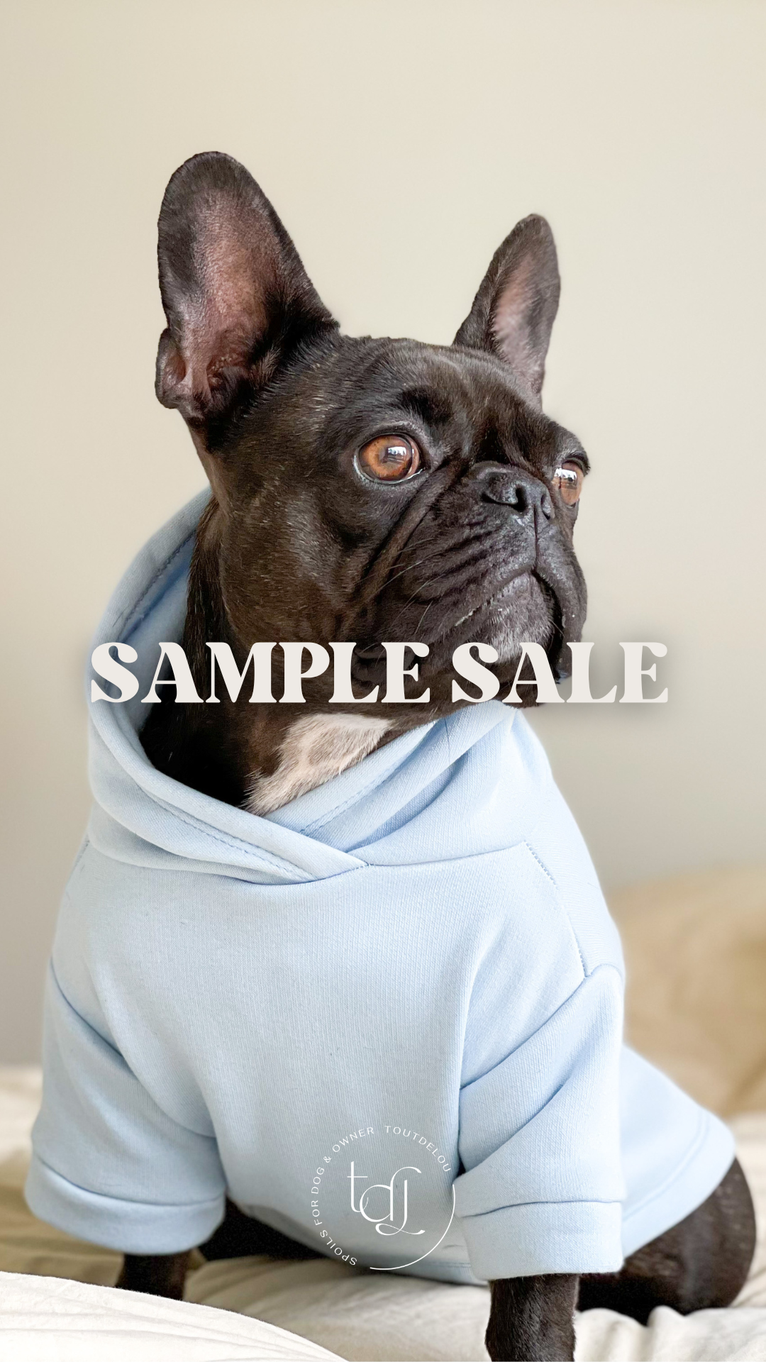 Sample sale - baby blue dog sweater L