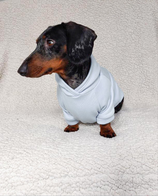 Dog sweater Dachshund - DIFFERENT COLORS