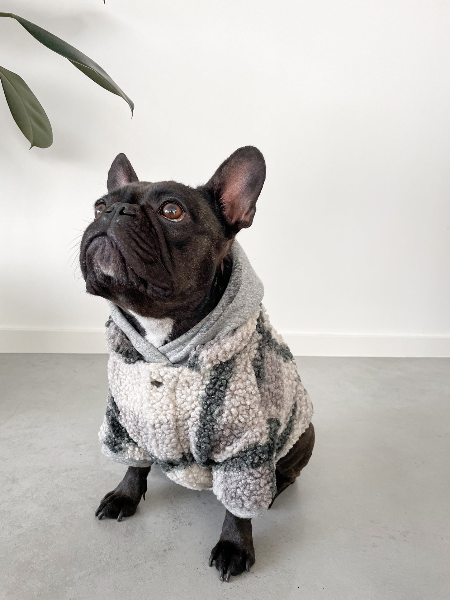 Dog jacket - teddy grey