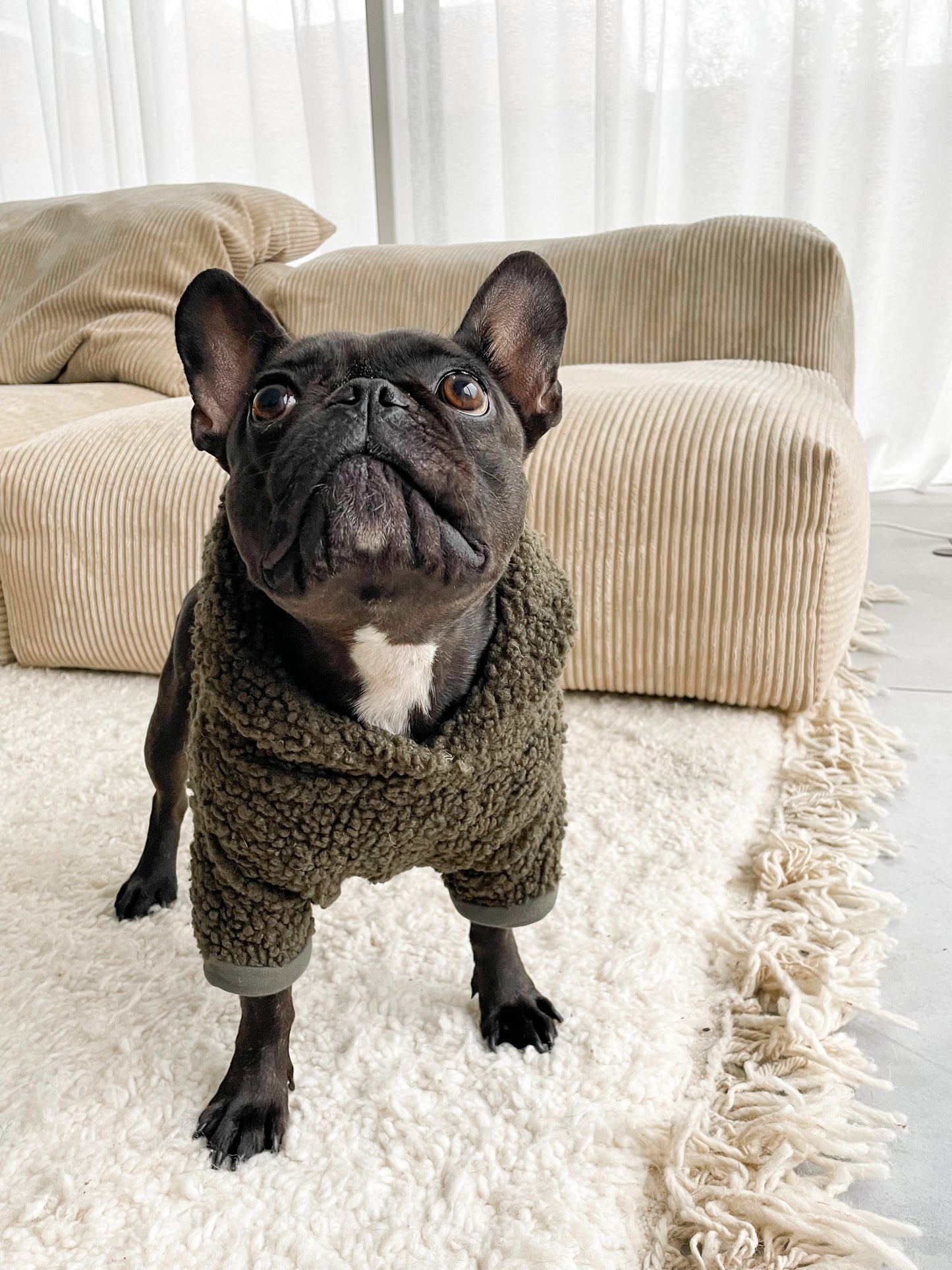 Dog sweater - khaki teddy
