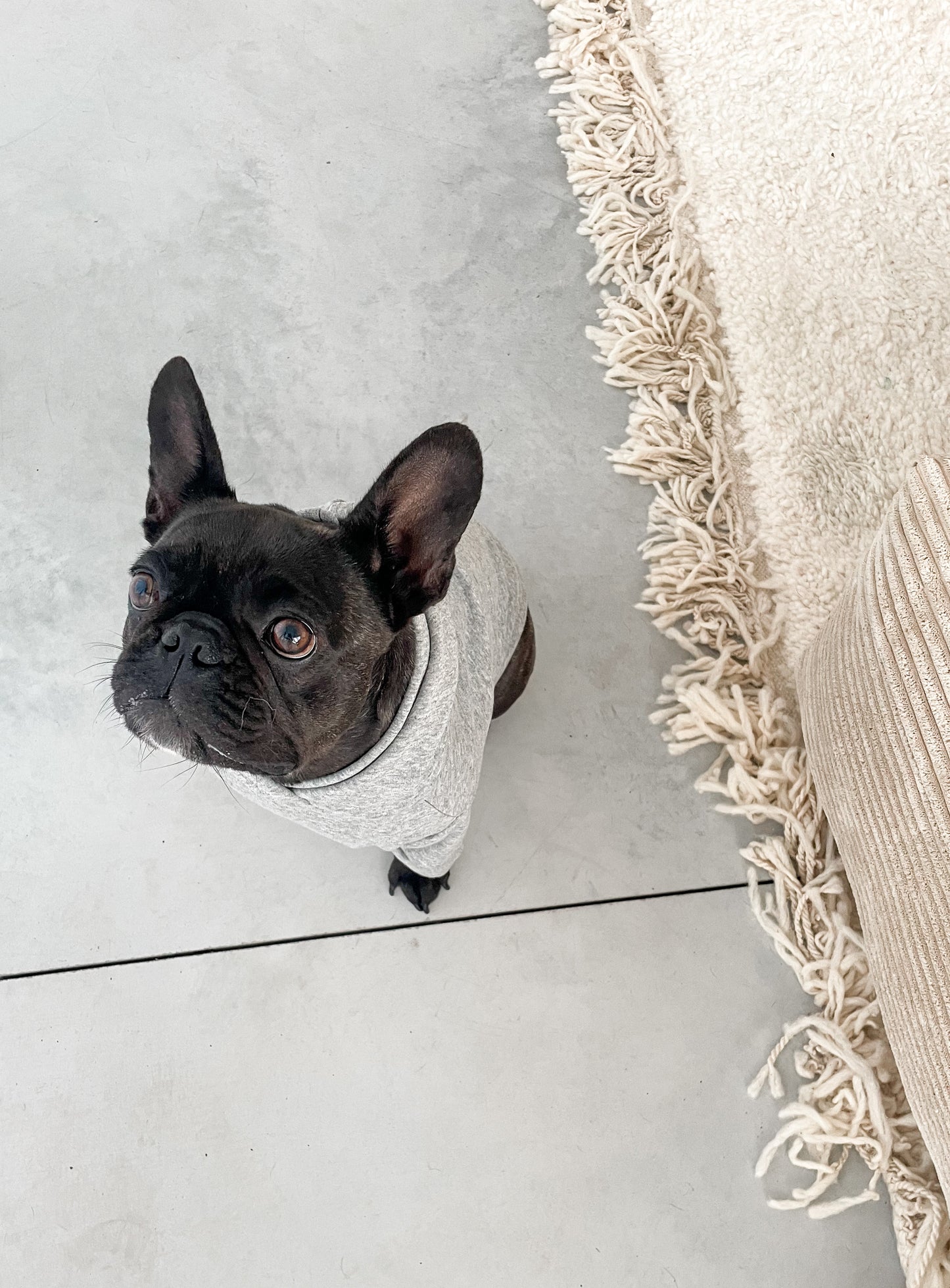 Dog sweater - grey