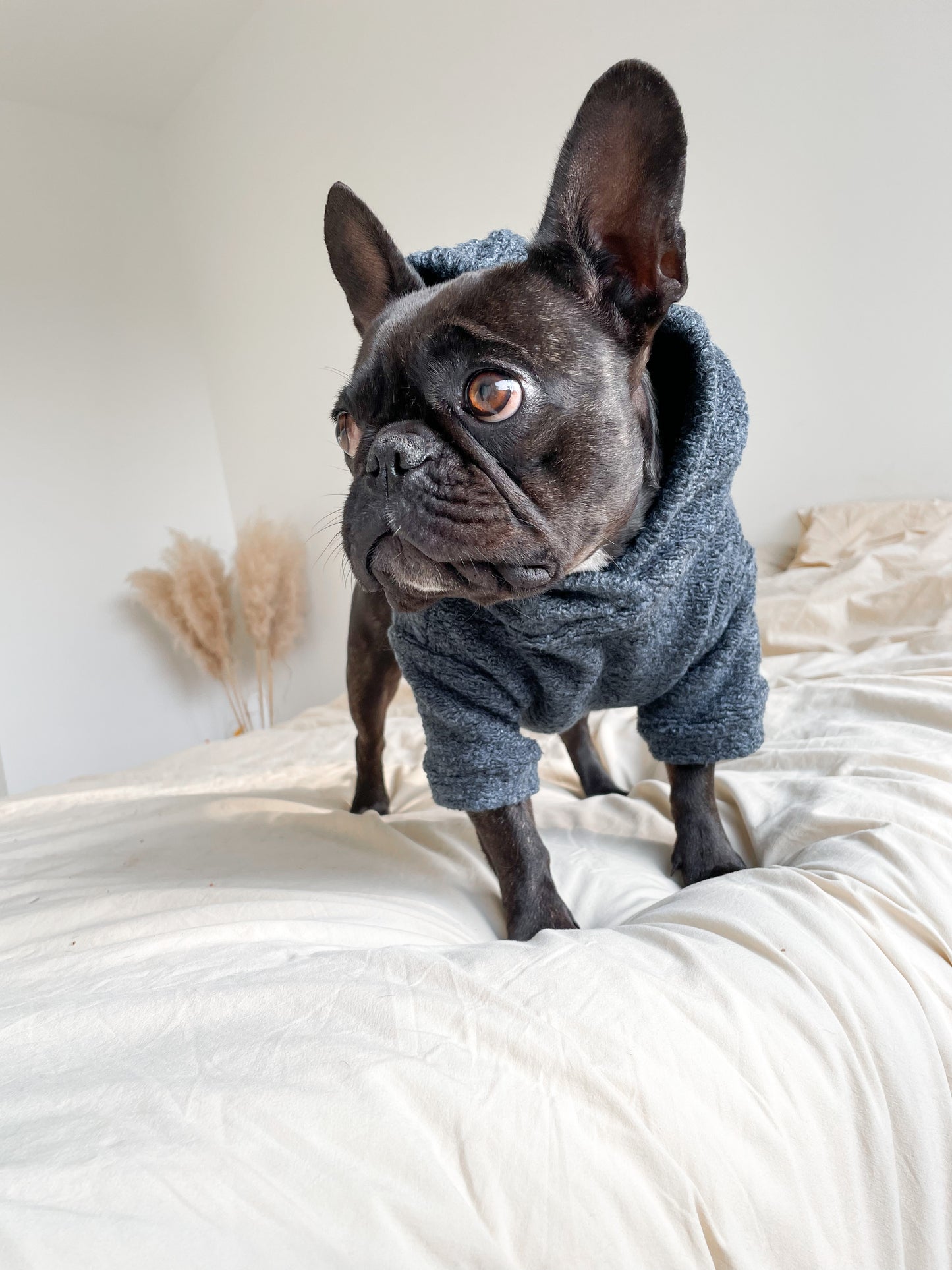 Dog sweater - jeans blue