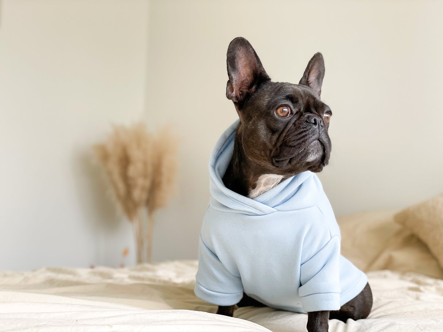 Dog sweater - pastel blue