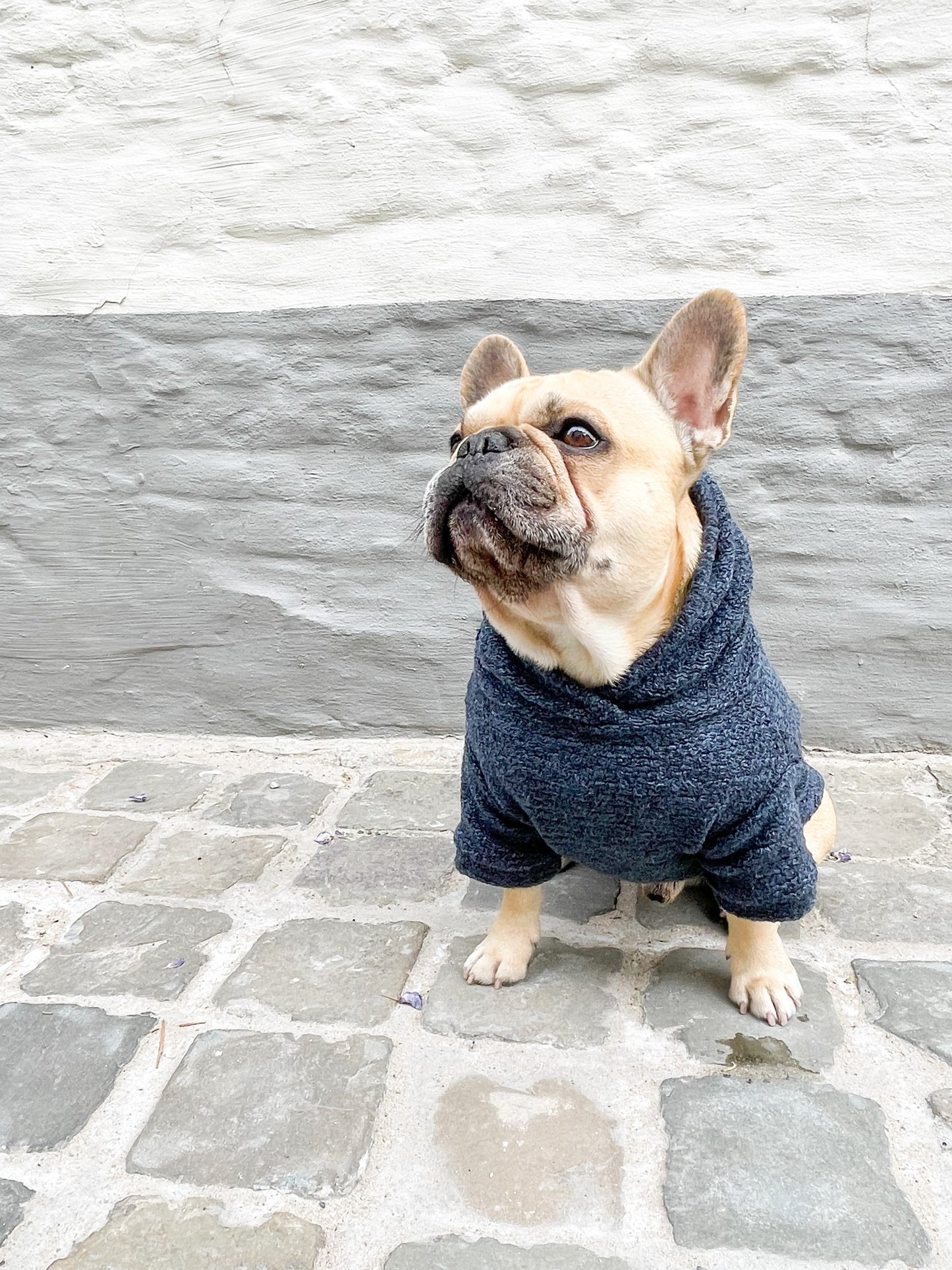 Dog sweater - jeans blue