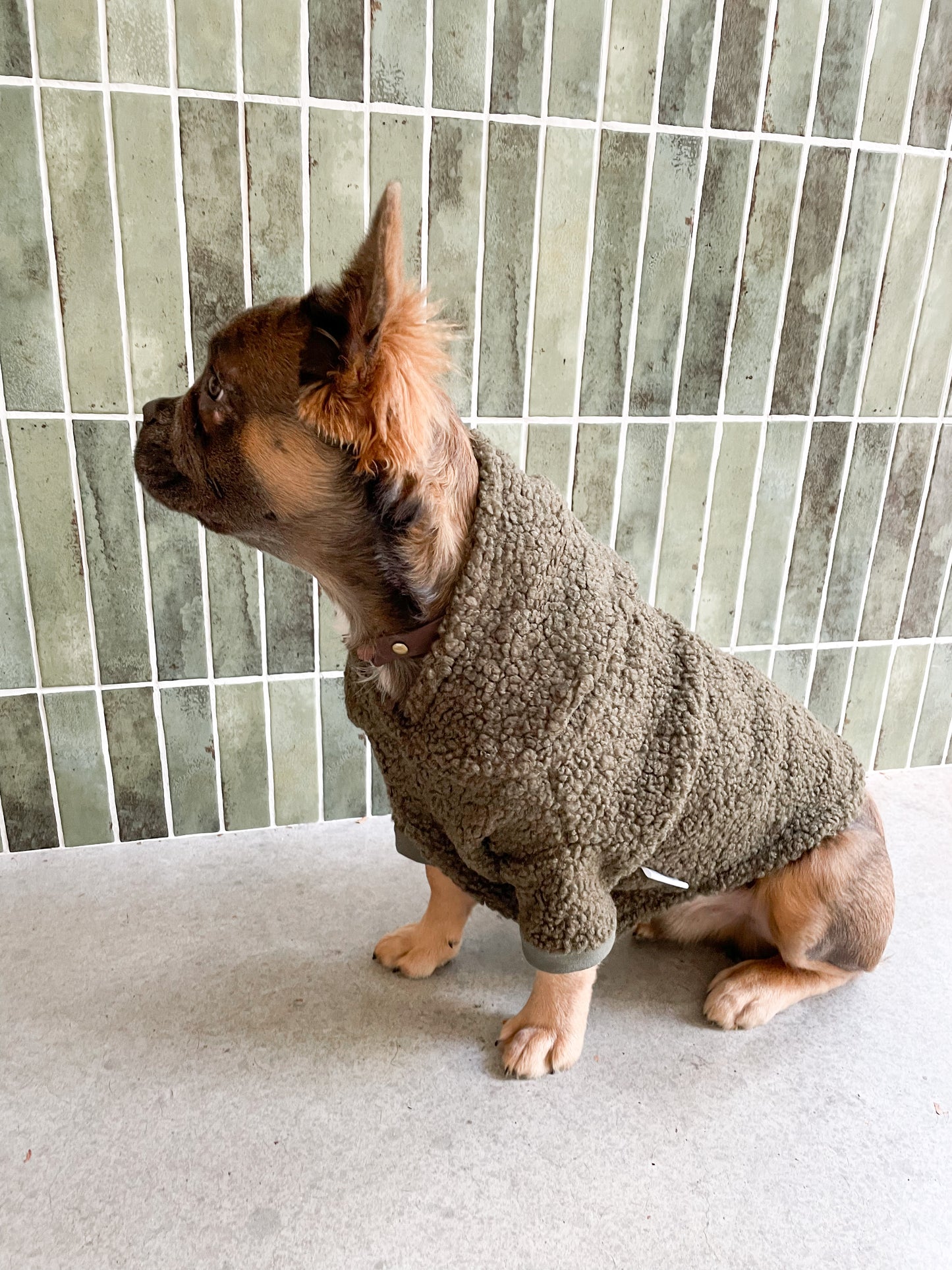 Dog sweater - khaki teddy